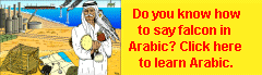 to learn Arabic